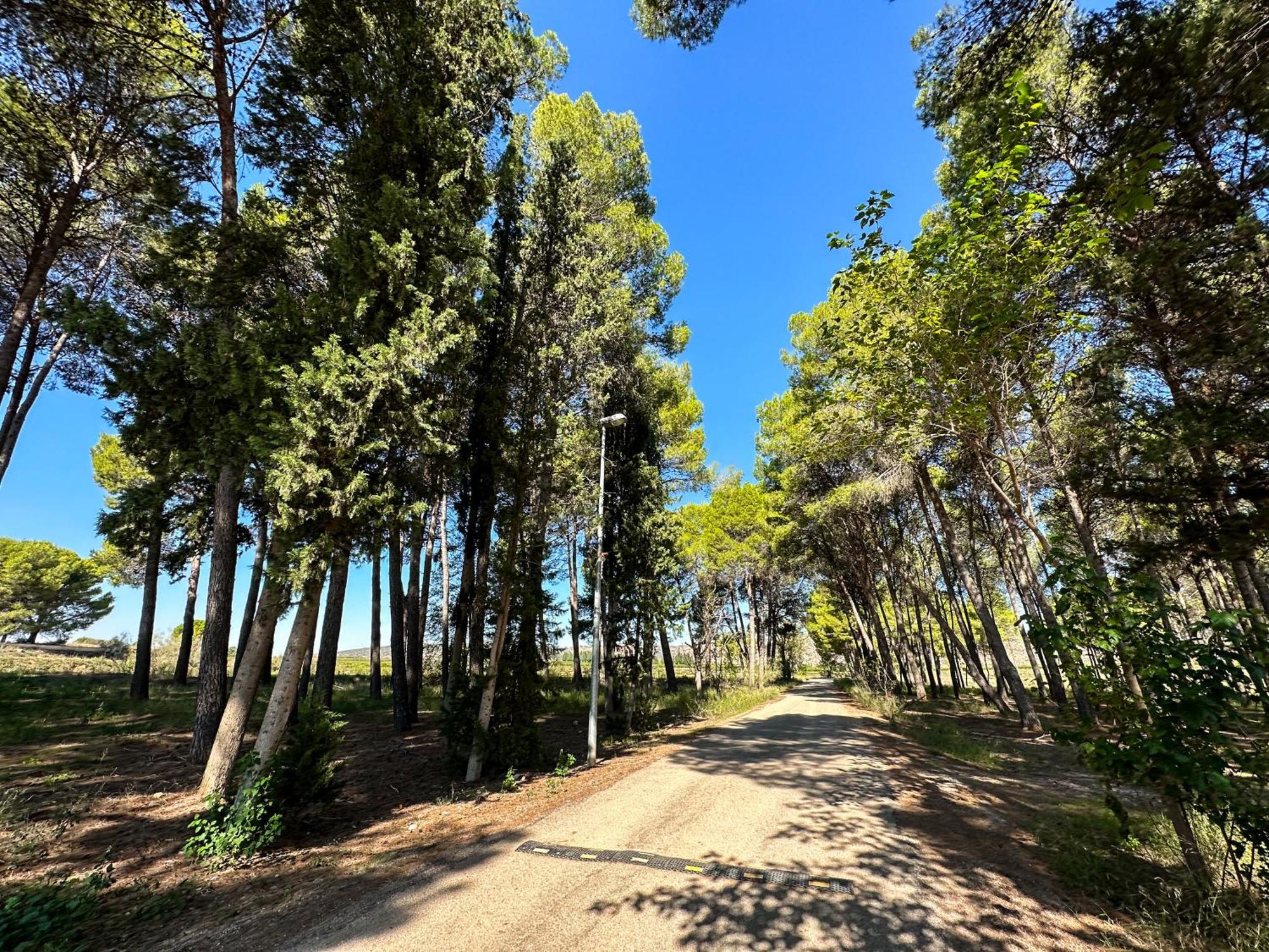 Casa Rural Los Pinos Valmuel Екстер'єр фото