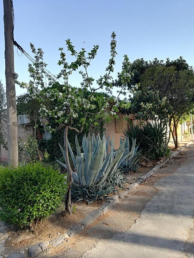 Casa Rural Los Pinos Valmuel Екстер'єр фото